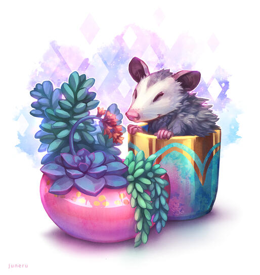 Lil Opossum