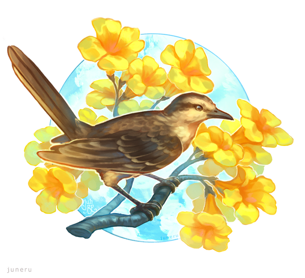Ipê Amarelo