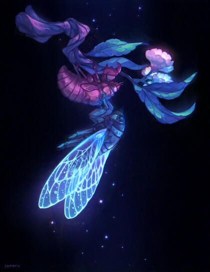Cicada